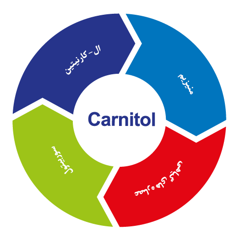 carnitol20